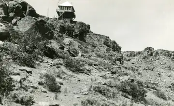 1950