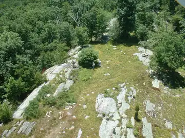 View from tower