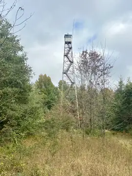 Photo of Tunica Lookout Tower