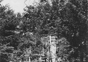 Newport Hill