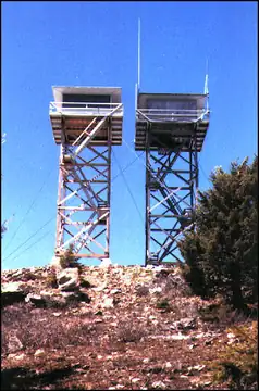 Twins, 1984
