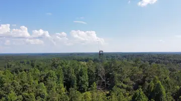 Photo of Fairview Lookout Tower