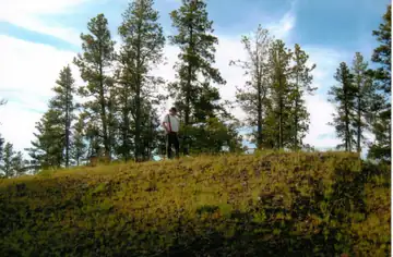 Cemetery Ridge Lookout site 2010
