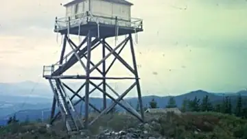 Stone Johnny Lookout