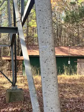 Photo of Lutts Lookout Tower
