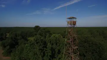 Drone image from July 2019