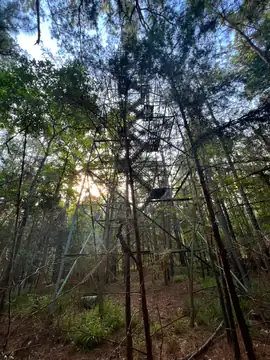 Photo of Midway Lookout Tower