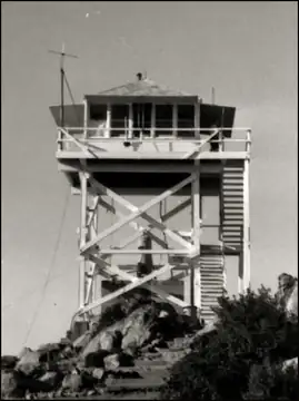 1966