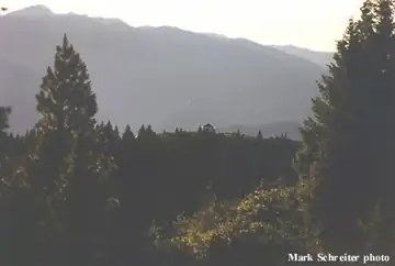 Williams Peak L.O.