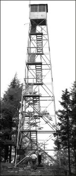 1959