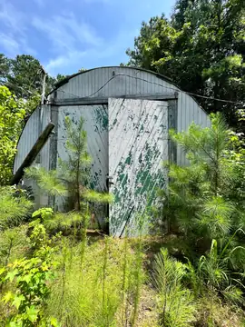 Photo of Jack's Creek Lookout Tower