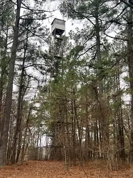 Photo of Puryear Fire Tower