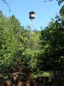 Photo of Emily Lookout Tower