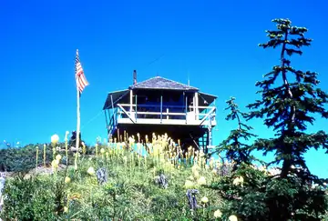 Thunder Mountain Lookout 1954