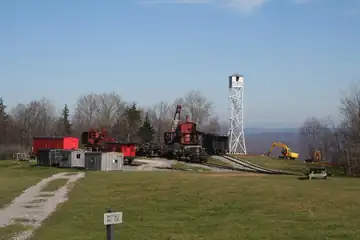Photo of Gauley Mountain Tower Site (now at Cass Scenic RR)