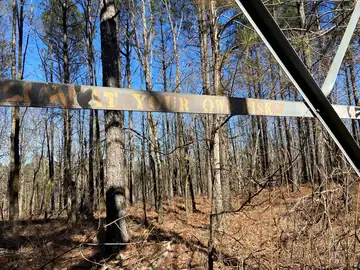 Photo of Woodland Lookout Tower
