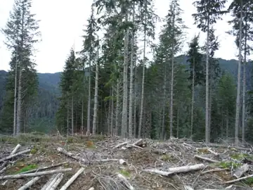 Chester Ridge Lookout Site