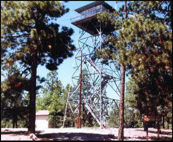 Photo of McGaffey Lookout
