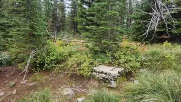 West Fork Point Lookout