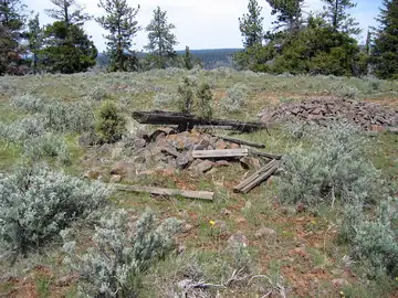 Potamus Point Lookout site 2010