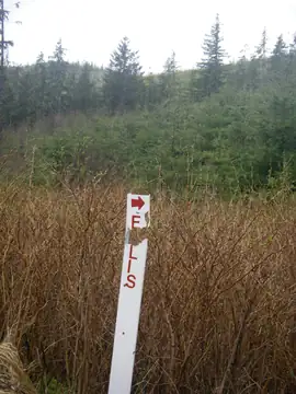 Lookout site