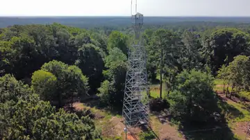 Photo of Shiloh Lookout Tower