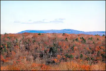 Photo of Beebe Hill Fire Tower