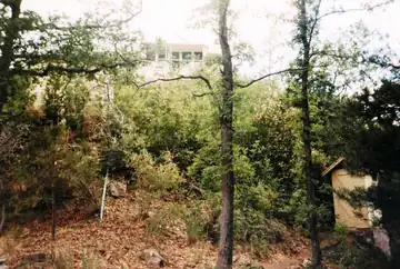 1989 photo
