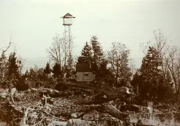 1931