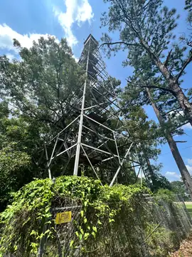 Photo of Morton Lookout Tower