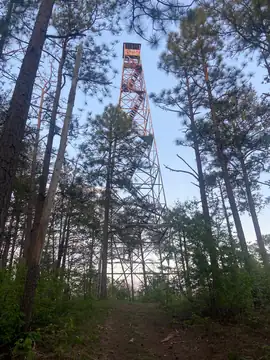 Photo of Kentuck Lookout Tower