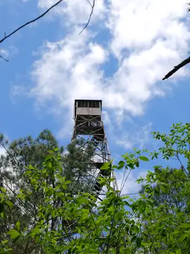 Photo of Moreland Lookout Tower