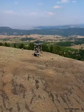 South Baldy in 2013
