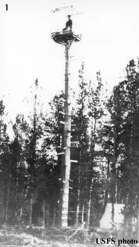 Hells Half Acre in 1930