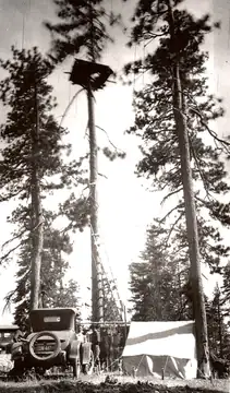 Tree Lookout
