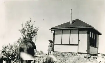 Picuris Lookout in the 1940s