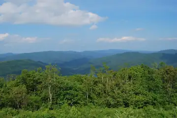 View from High Knob Lookout in June 2009
