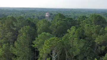 Photo of Midway Lookout Tower
