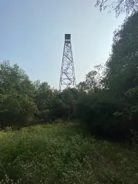 Photo of Pinetree Lookout Tower
