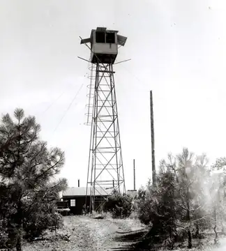 1943