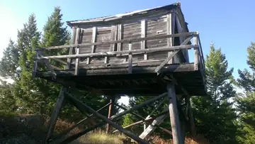 2013