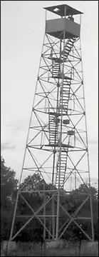 Photo of Windswept Lookout