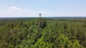 Photo of Poplar Creek Lookout Tower