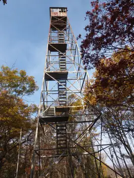 Photo of Jackie Jones Lookout