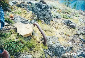 Dome Rock Lookout site 2000