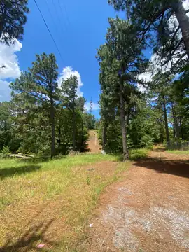 Photo of Lauderdale (Meridian) Lookout Tower