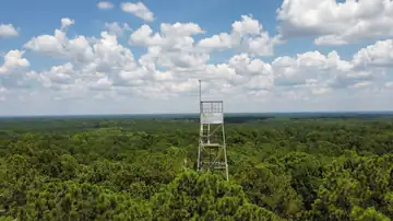 Photo of Wren Lookout Tower