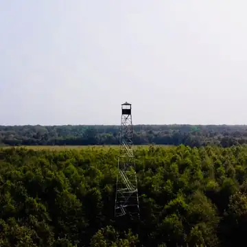 Photo of Pinetree Lookout Tower
