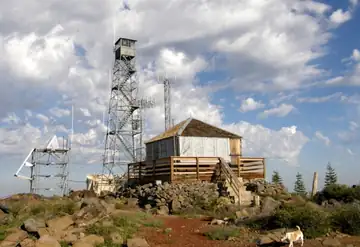 2010