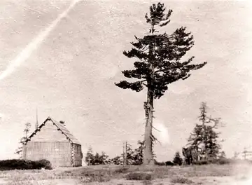 1914